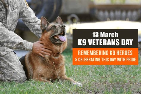 dog training st joseph mo|k 9 for veterans.